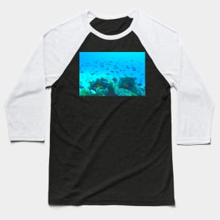 Tropical Fish Swimming Underwater in Blue Ocean Baseball T-Shirt